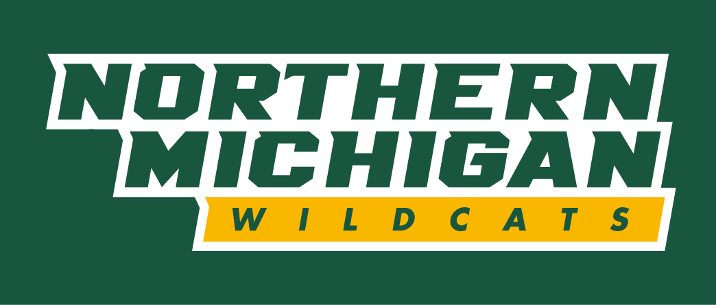 Northern Michigan Wildcats 2016-Pres Wordmark Logo diy DTF decal sticker